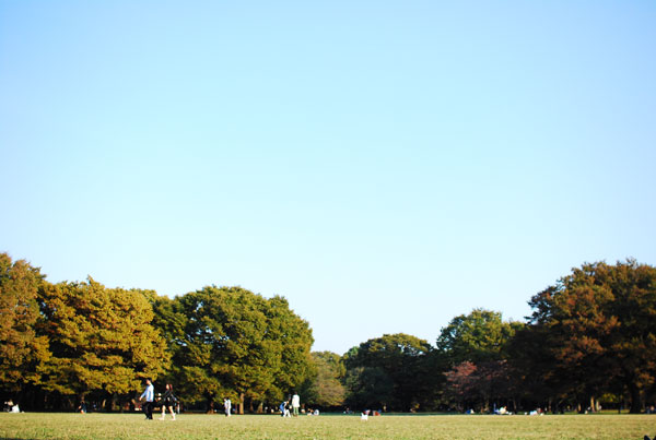 img157.jpg