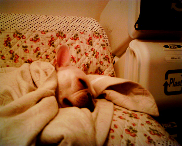 img170.jpg