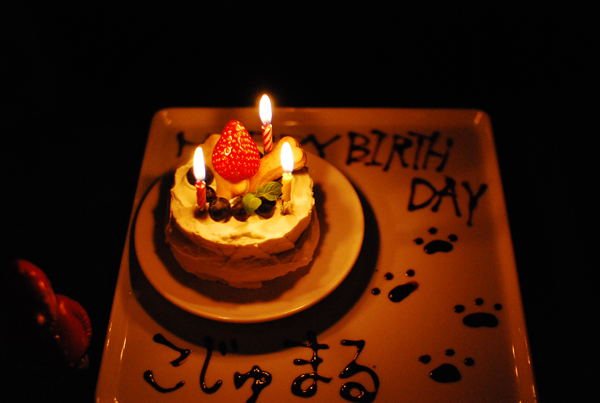 img180.jpg