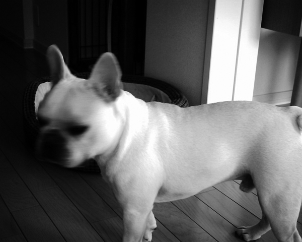 img204.jpg