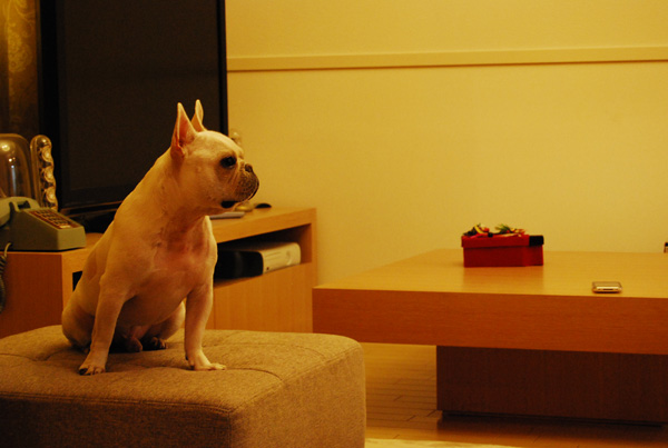 img225.jpg