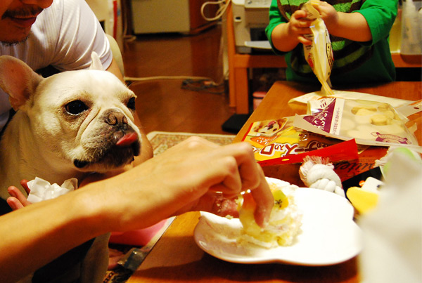 img233.jpg